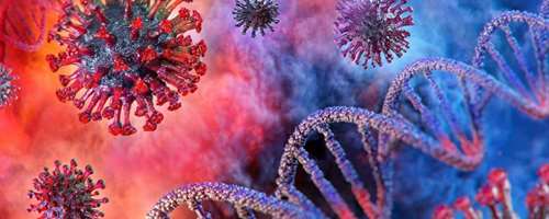 Informatie over het Coronavirus